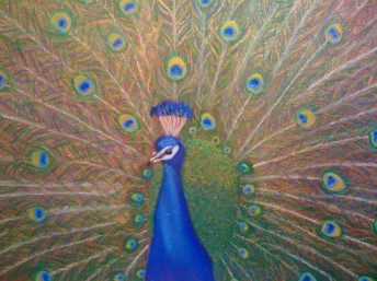 Alignment- Peacock- Tracy Robbins- Energetic Healing Art