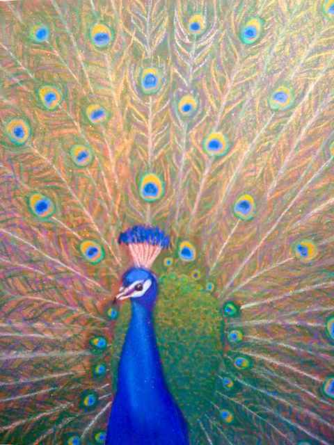 Alignment- Peacock- Energetic Healin Art- Tracy Robbins
