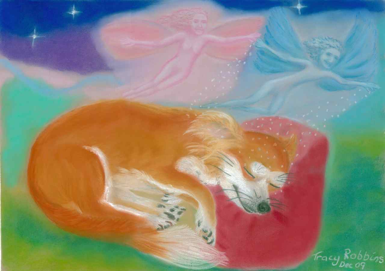 Dream Bringers- Personalised Intuitive Art by Tracy Robbins