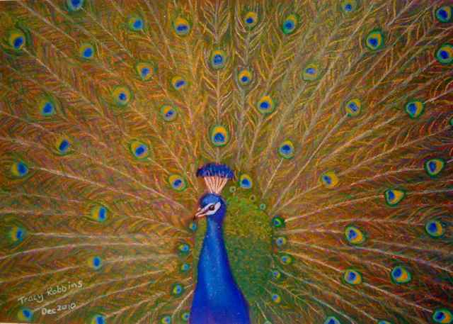 Alignment- Vibrational Healing Art- Tracy Robbins